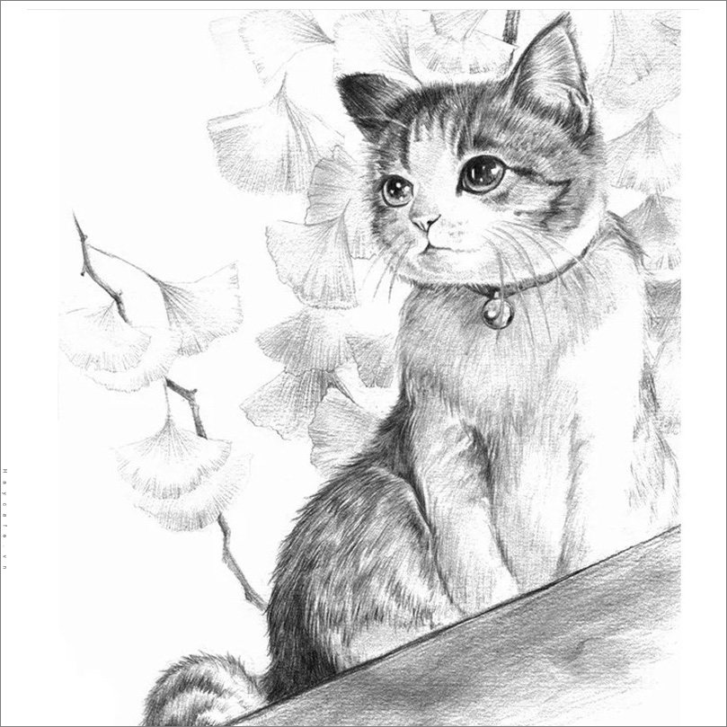Cách Vẽ Mèo, Hình Vẽ Mèo Cute, Dễ Thương Đơn Giản