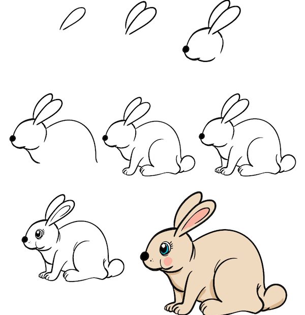 Hướng Dẫn Cách Vẽ Con Thỏ Đơn Giản Với 8 Bước Chi Tiết Ai Cũng Thực Hiện  Được