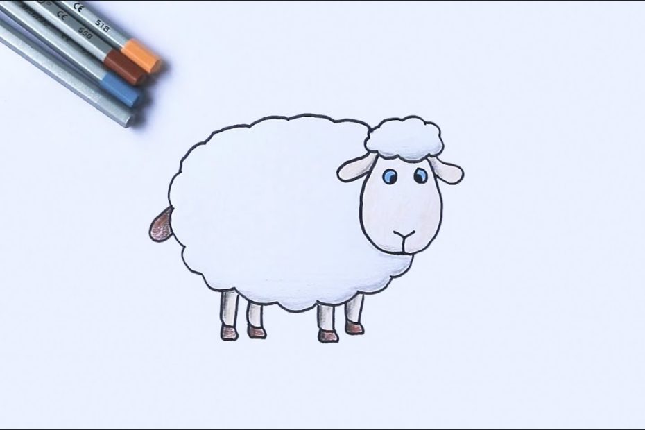 Draw And Coloring Sheep - Tập Vẽ Và Tô Màu Con Cừu - Youtube