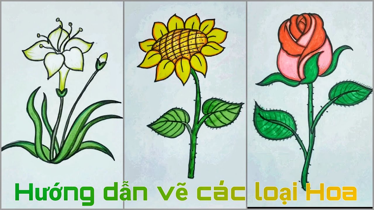 Hướng Dẫn Vẽ Các Loài Hoa Đơn Giản - Hoa Hướng Dương, Hoa Hồng,...| Vẽ Đơn  Giản #3 - Youtube